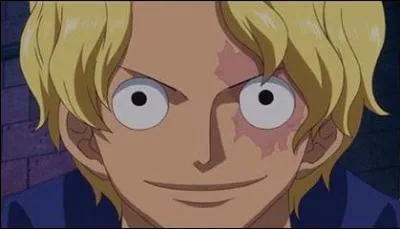 À qui appartient ce visage ?