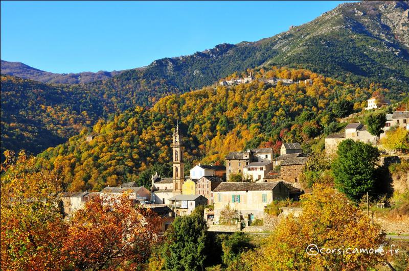 Quelle est cette sous-région de Haute-Corse constituée d'une dense forêt parsemée de petits villages perchés typiques comme Morosaglia et La Porta ?