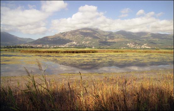 Quel est ce site naturel, situé sur le littoral de Haute-Corse, légèrement au sud de Bastia, qui accueille de nombreuses espèces d'oiseaux ?