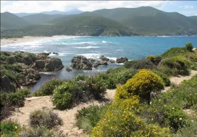 Parmi ces sites, lequel est situé en Haute-Corse (les trois autres se trouvent en Corse-du-Sud) ?