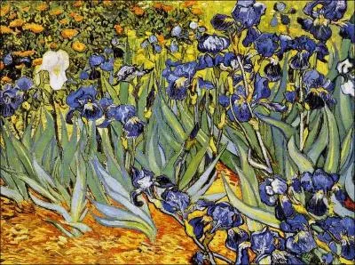 Qui a peint "Iris" ?