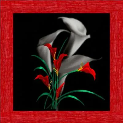 Quel est l'autre nom de l'arum ?