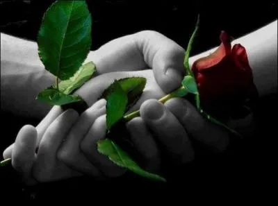 Quel est le titre du film de Valérie Donzelli avec Valérie Lemercier ?