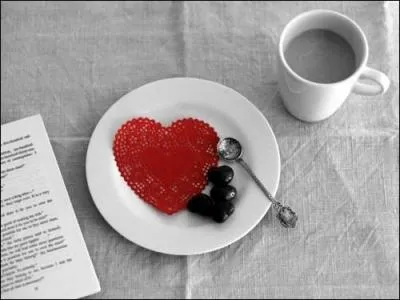 Où est située la ville de Moka ?