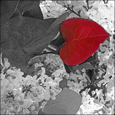 A quel arbre appartient cette feuille ?