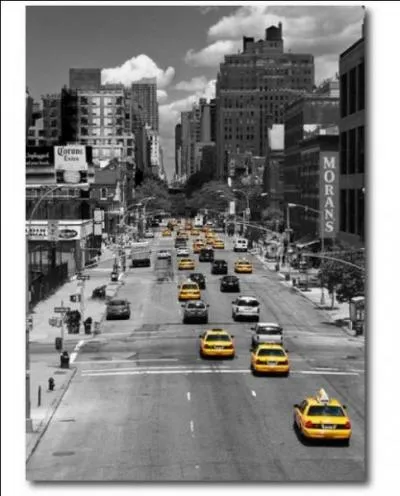 Dans quelle ville américaine est situé le Bronx ?