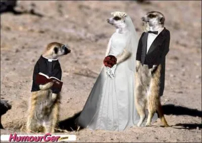 Combien de fois Eddie Barclay, l'Empereur du microsillon, s'est-il marié ?