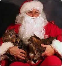 Outre les enfants, papa Noël adore aussi les animaux. Il donne souvent de son temps et de son amour pour s'occuper de chats, dont il est un grand passionné. On peut ainsi dire qu'il est un véritable :