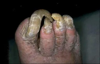 "La comtesse aux pieds nus" est :