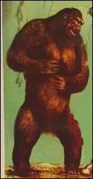 Quel amiral carthaginois aurait rencontr des gorilles le long des ctes de l'Afrique ?