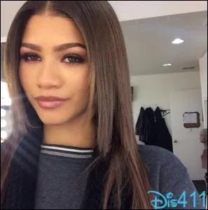Dans la série "Shake It Up", Zendaya joue le rôle de...