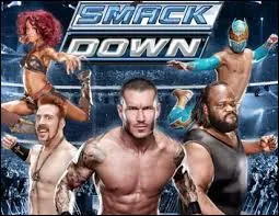 Qui sont ces 5 catcheurs ?