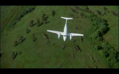 Comment sont-ils arrivés sur l'île ?