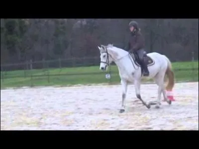 Comment procéder pour conduire un cheval au trot sur des courbes serrées ?