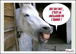 Indice : Félicie ... aussi !