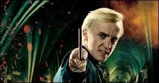 Je suis un Serpentard, et fier de l'être ! Enfant unique pourri gâté, je ne supporte pas Hermione ! J'm'appelle...