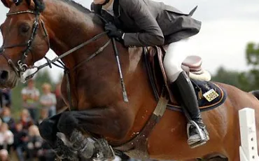 Quiz Galop 1