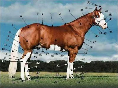 Comment s'appelle la partie 1 ?