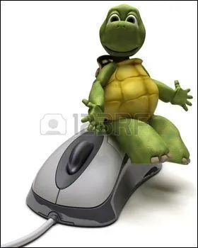 Dans la fable de Jean de la Fontaine, qui gagne la course ?