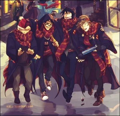 Sans compter Remus, combien d'années a-t-il fallu à James et Sirius pour devenir des Animagi ?