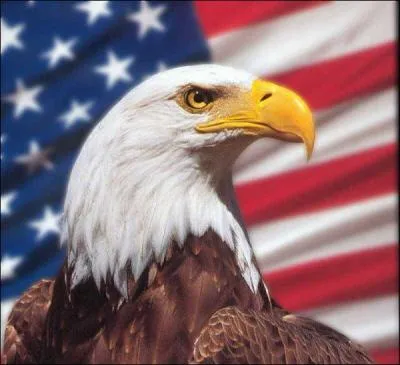 Je suis l'embl&egrave;me des USA. Qui suis-je ?