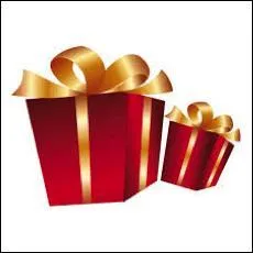 Que représente la photographie ?