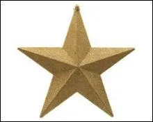 Que représente la photographie ?