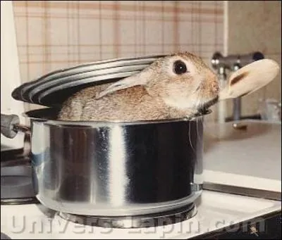 Lapin en morceaux, poitrine fumée, champignons de Paris, vin blanc, bouquet garni, c'est la recette du lapin à la bonne...