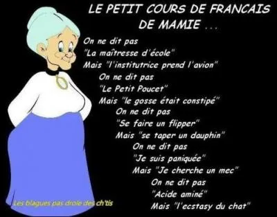Je vais vous en raconter une bien bonne ! Arrêtez de parler "petit-nègre", et apprenez à parler français ! Il vaut mieux dire "L'employée de maison est absente" que....