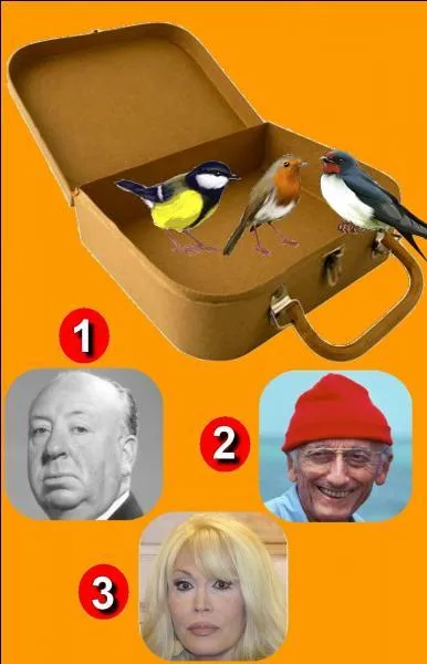 Qui est le propriétaire de cette valise ?