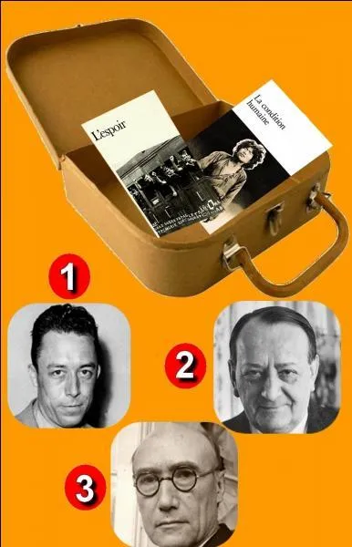 Qui est le propriétaire de cette valise ?