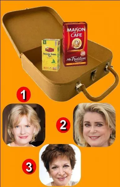 Qui est le propriétaire de cette valise ?