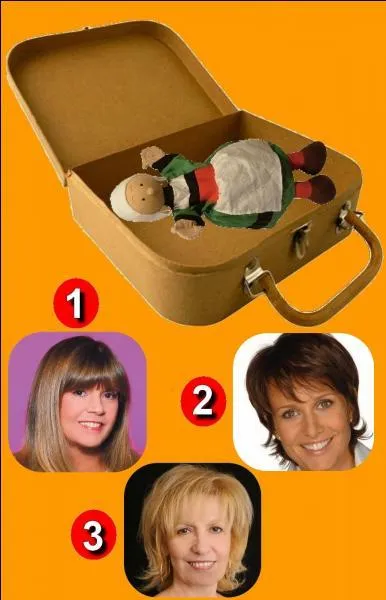 Qui est le propriétaire de cette valise ?