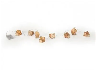 Y voyez-vous plus clair à présent ? Dans une fable de Florian, qui tient la lanterne magique ?