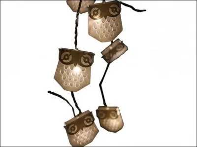 Pour guider le père Noël avec efficacité, de quel oiseau sans aigrette les yeux serviront-ils de phares ?