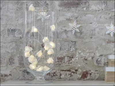 « La vie est une rose dont chaque pétale est une illusion et chaque épine une réalité. » Qui est l'auteur, romantique, dépressif et alcoolique, de cette implacable vérité ?