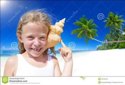 En collant un coquillage contre l'oreille, on entend le bruit de la mer.