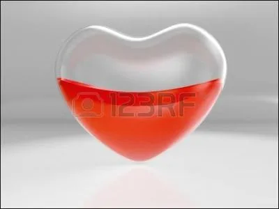 Quel animal peut être 'demi-sang' ?