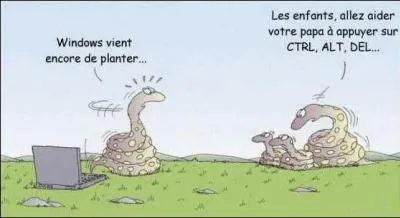 Les serpents sont des animaux a...
