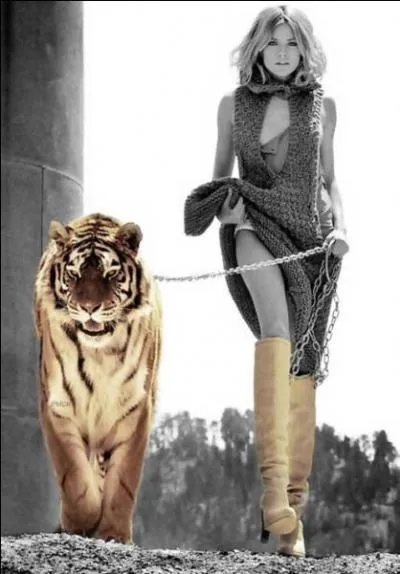 Qui chantait "Elle est abonnée à Marie Claire, dans le nouvel Ob's elle ne lit que Brétécher" ?