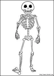 Comment s'appelle le plus petit os du corps humain ?