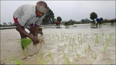 En Inde, on passe de la sécherese à la pluie diluvienne et la température passe de 20° à 40° C. C'est...