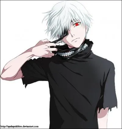 Qui est ce personnage, héros de son manga ?