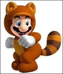 Comment a-t-on ce Mario ?