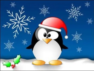 Comment appelle-t-on la période juste avant Noël ?