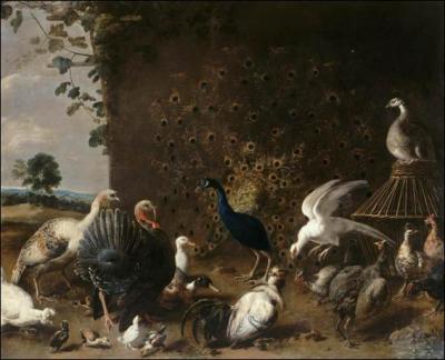 « Oiseaux de basse-cour » est une œuvre du peintre flamand Adriaen Van Utrecht. Sa peinture a les effets du Chiaroscuro. Mais qu'est-ce donc ?