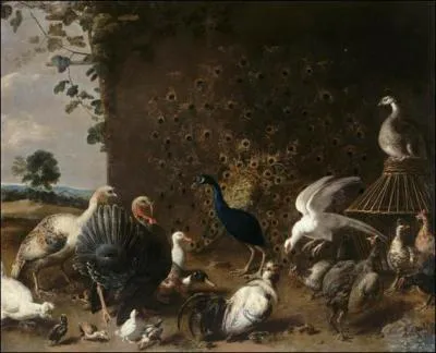 « Oiseaux de basse-cour » est une uvre du peintre flamand Adriaen Van Utrecht. Sa peinture a les effets du Chiaroscuro. Mais qu'est-ce donc ?
