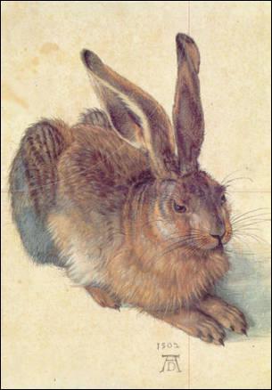 Cette aquarelle est l'œuvre d'Albrecht Dürer (1502). Reconnaissez-vous l'animal ?