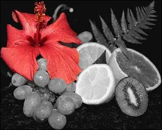 Lequel de ces trois fruits est le plus riche en vitamine C ?