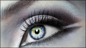 Qui a écrit "Histoire de l'oeil" ?